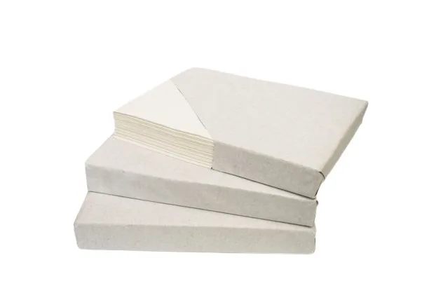 Charkpapper_Ark Removebg Preview